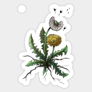 Dandelion Sticker